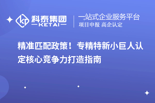精準(zhǔn)匹配政策！專精特新小巨人認(rèn)定核心競爭力打造指南
