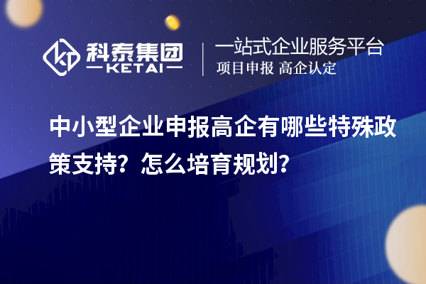 中小型企業(yè)申報高企有哪些特殊政策支持？怎么培育規(guī)劃？