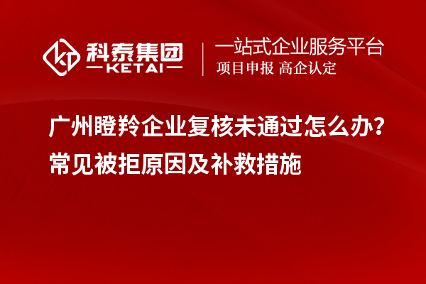 廣州瞪羚企業(yè)復(fù)核未通過怎么辦？常見被拒原因及補(bǔ)救措施