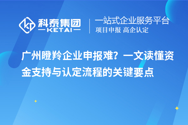 廣州瞪羚企業(yè)申報難？一文讀懂資金支持與認(rèn)定流程的關(guān)鍵要點