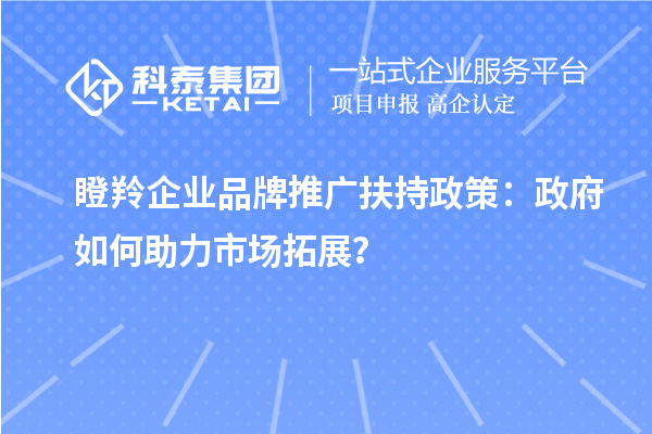 瞪羚企業(yè)品牌推廣扶持政策：政府如何助力市場拓展？