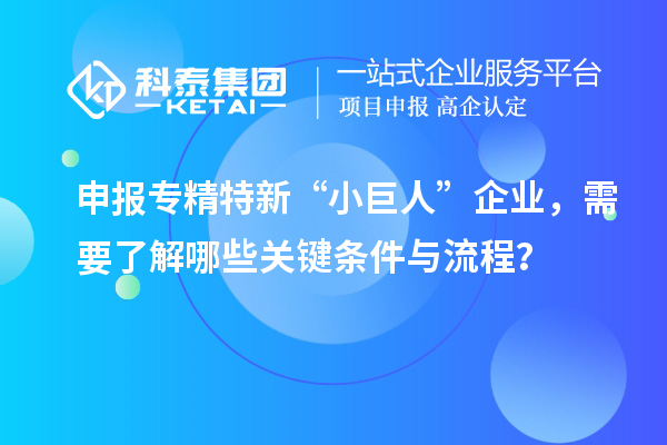 申報專精特新“小巨人”企業(yè)，需要了解哪些關(guān)鍵條件與流程？