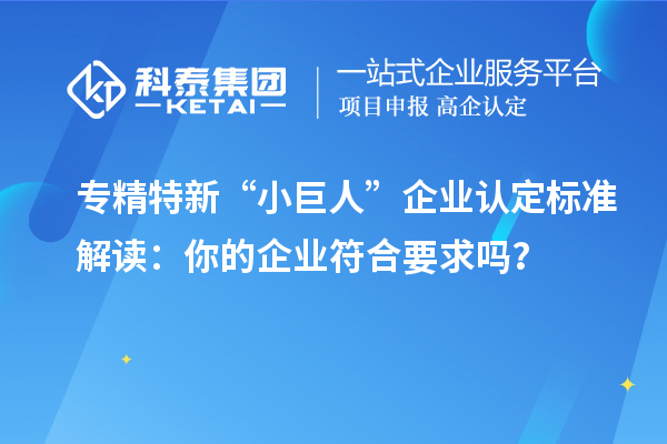專精特新“小巨人”企業(yè)認(rèn)定標(biāo)準(zhǔn)解讀：你的企業(yè)符合要求嗎？