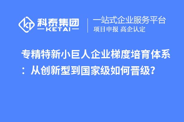 專精特新小巨人企業(yè)梯度培育體系：從創(chuàng)新型到國家級如何晉級？