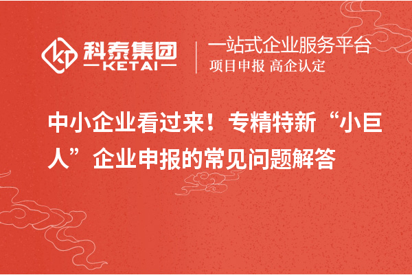 中小企業(yè)看過來！專精特新 “小巨人” 企業(yè)申報的常見問題解答