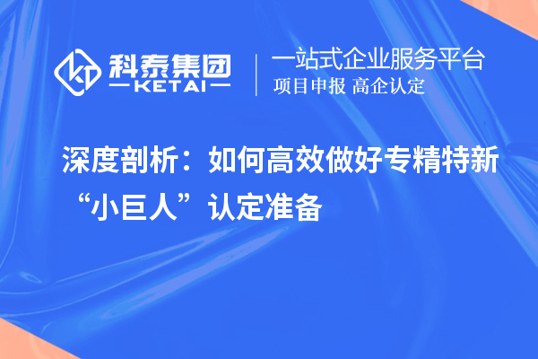深度剖析：如何高效做好專(zhuān)精特新“小巨人”認(rèn)定準(zhǔn)備