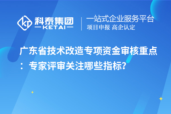 廣東省技術(shù)改造專項(xiàng)資金審核重點(diǎn)：專家評(píng)審關(guān)注哪些指標(biāo)？