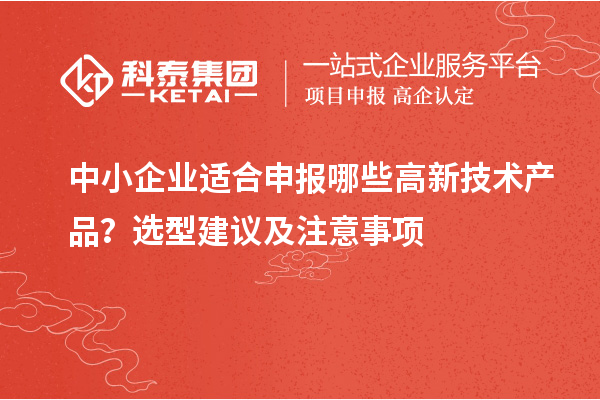 中小企業(yè)適合申報哪些高新技術(shù)產(chǎn)品？選型建議及注意事項