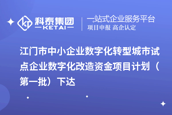 江門市中小企業(yè)數(shù)字化轉(zhuǎn)型城市試點(diǎn)企業(yè)數(shù)字化改造資金項(xiàng)目計(jì)劃（第一批）下達(dá)