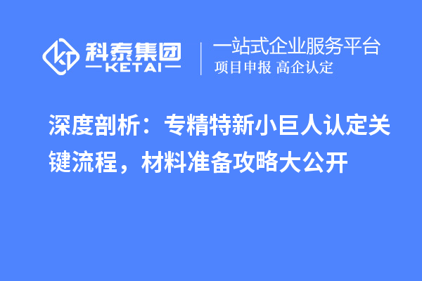 深度剖析：專精特新小巨人認(rèn)定關(guān)鍵流程，材料準(zhǔn)備攻略大公開