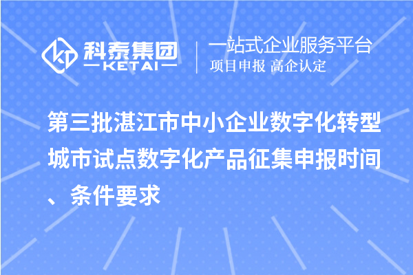第三批湛江市中小企業(yè)數(shù)字化轉(zhuǎn)型城市試點數(shù)字化產(chǎn)品征集申報時間、條件要求