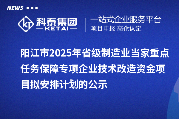 陽(yáng)江市2025年省級(jí)制造業(yè)當(dāng)家重點(diǎn)任務(wù)保障專(zhuān)項(xiàng)企業(yè)技術(shù)改造資金項(xiàng)目擬安排計(jì)劃的公示