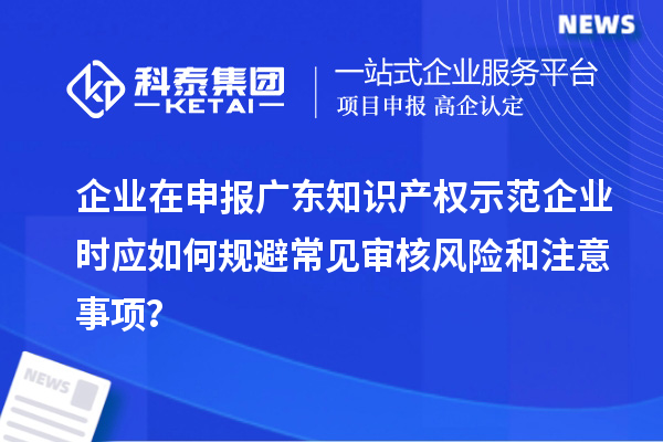 企業(yè)在申報廣東知識產權示范企業(yè)時應如何規(guī)避常見審核風險和注意事項？