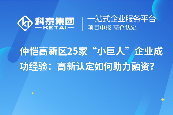 仲愷高新區(qū)25家“小巨人”企業(yè)成功經(jīng)驗(yàn)：高新認(rèn)定如何助力融資？