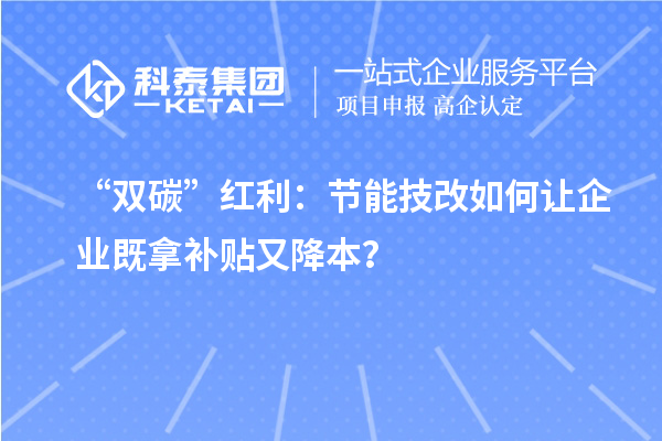 “雙碳”紅利：節(jié)能技改如何讓企業(yè)既拿補貼又降本？
