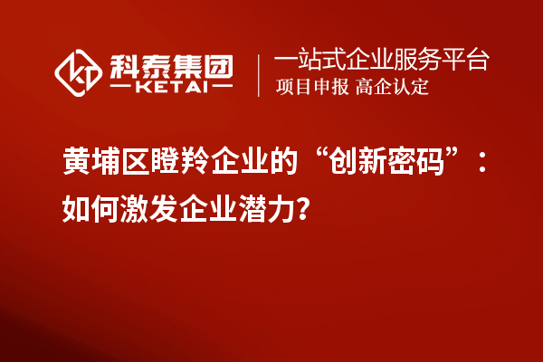 黃埔區(qū)瞪羚企業(yè)的“創(chuàng)新密碼”：如何激發(fā)企業(yè)潛力？