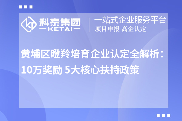 黃埔區(qū)瞪羚培育企業(yè)認定全解析：10萬獎勵+5大核心扶持政策