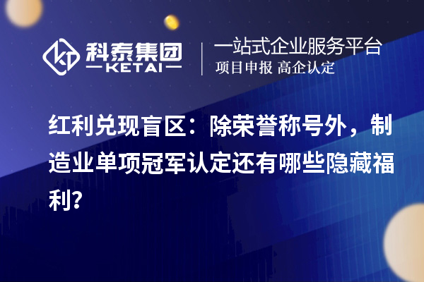 紅利兌現(xiàn)盲區(qū)：除榮譽(yù)稱號外，制造業(yè)單項冠軍認(rèn)定還有哪些隱藏福利？