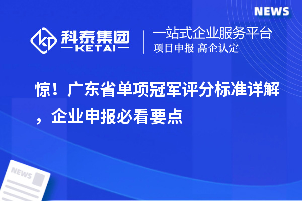 驚！廣東省單項冠軍評分標(biāo)準(zhǔn)詳解，企業(yè)申報必看要點