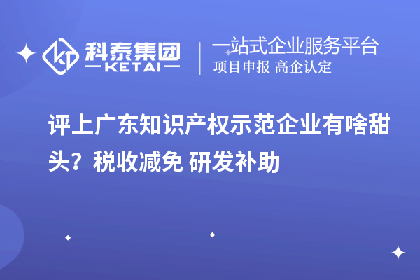 評(píng)上廣東知識(shí)產(chǎn)權(quán)示范企業(yè)有啥甜頭？稅收減免+研發(fā)補(bǔ)助