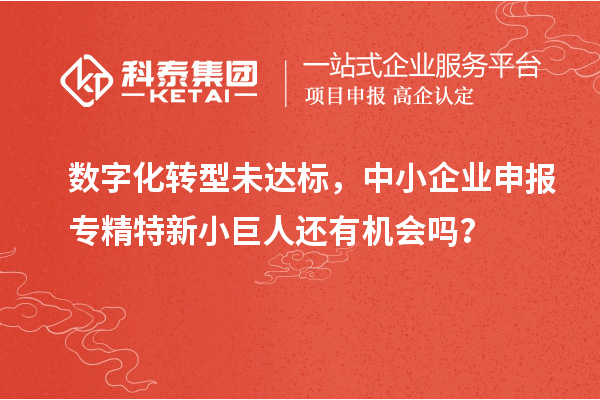 數(shù)字化轉(zhuǎn)型未達標(biāo)，中小企業(yè)申報專精特新小巨人還有機會嗎？